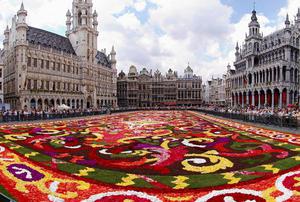 Carpet of flowers