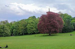 Laeken Park-Royal Parc (Park van Laken)