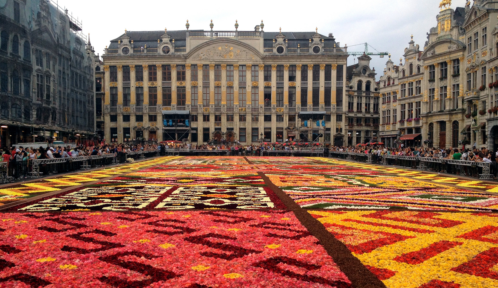 Flower Carpet