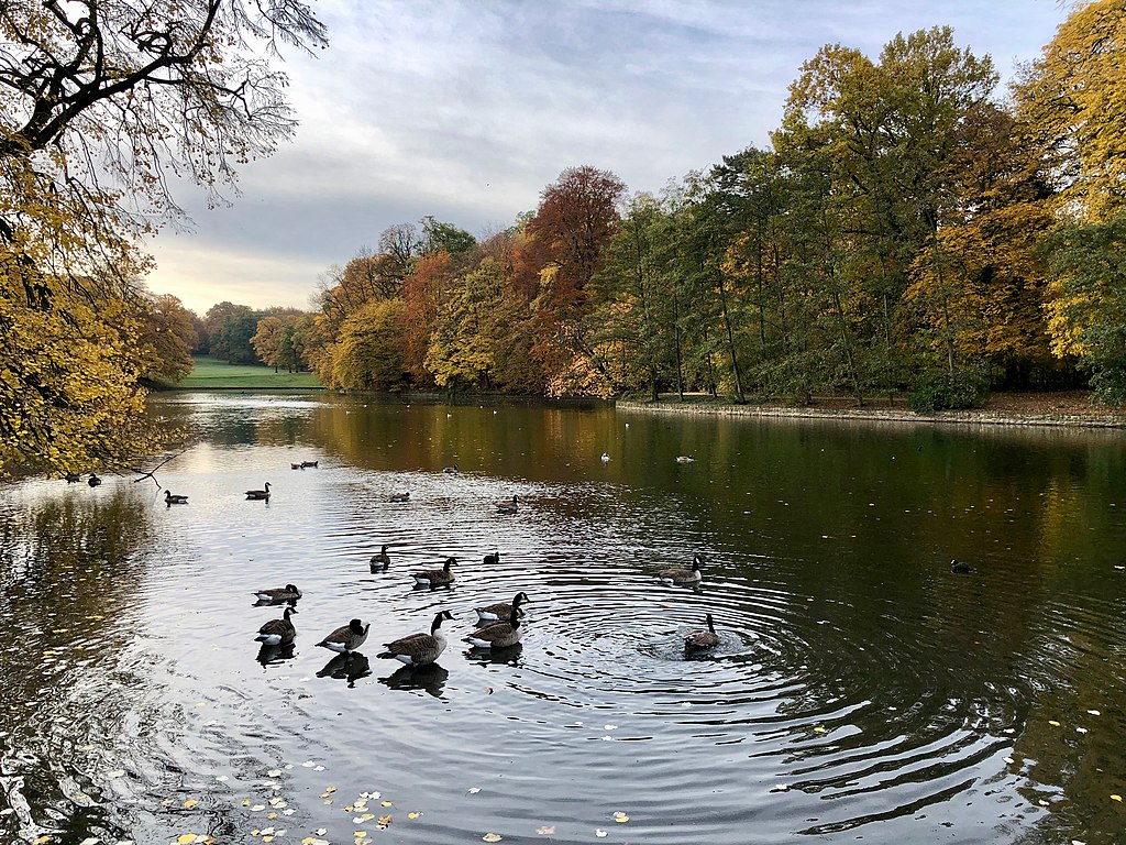 Lac du Bois de la Cambre