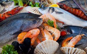 Thumbnail for Top 5 Places to Enjoy Seafood in Brussels