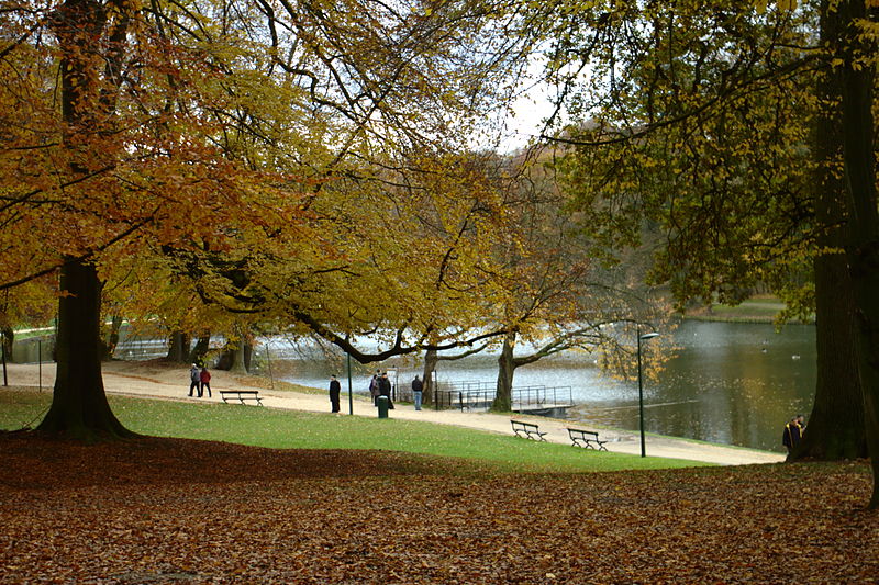 Fall in the Bois de la Cambre forest in southern Brussels