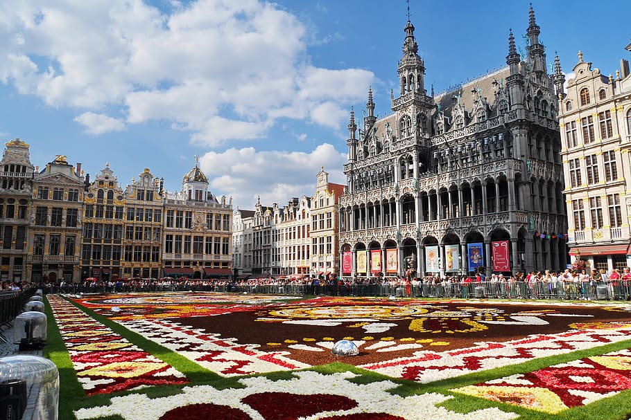 Flower carpet at Grand Place, Brussels