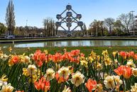 Thumbnail for A Guide to Explore Brussels in Spring